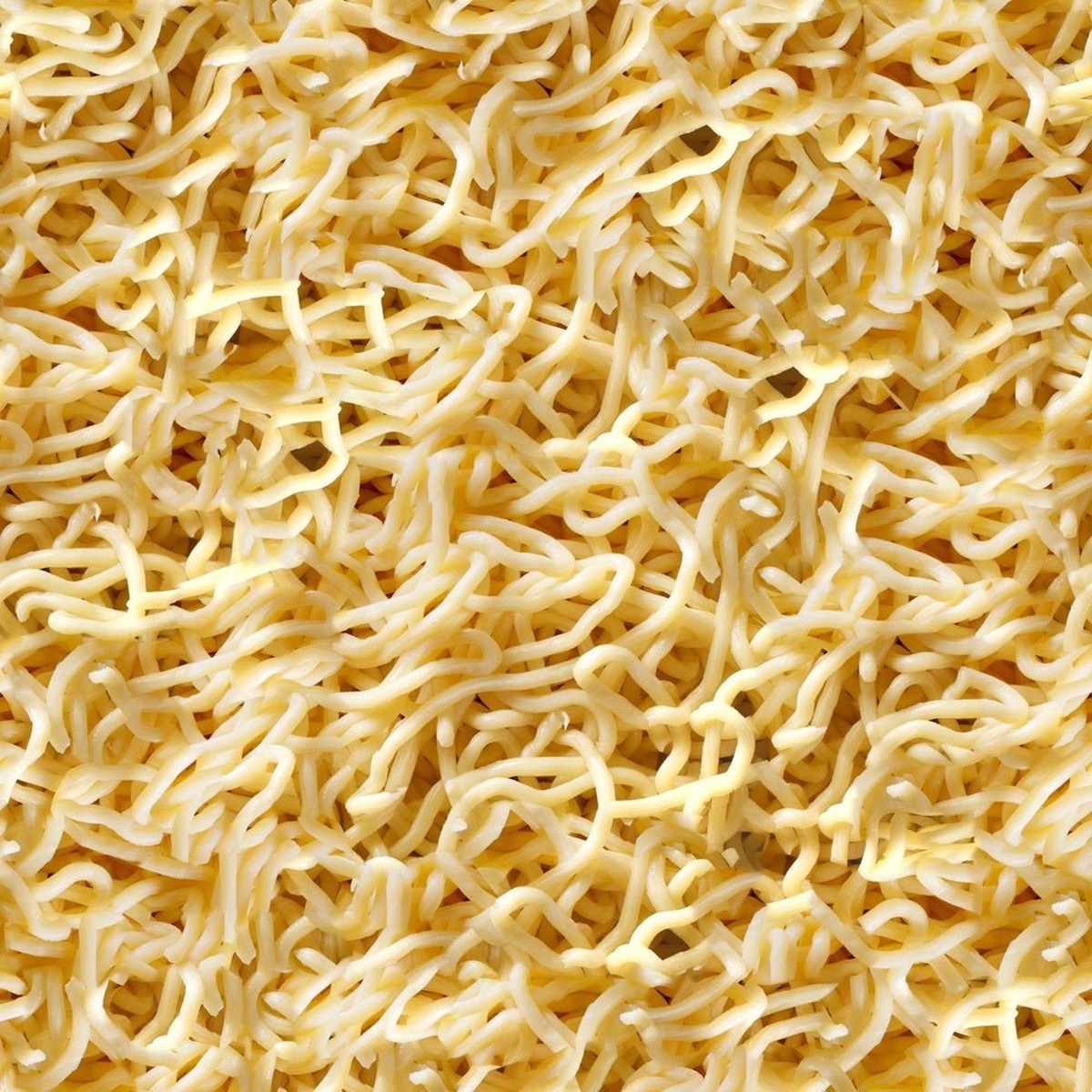 Noodles 2 Fabric