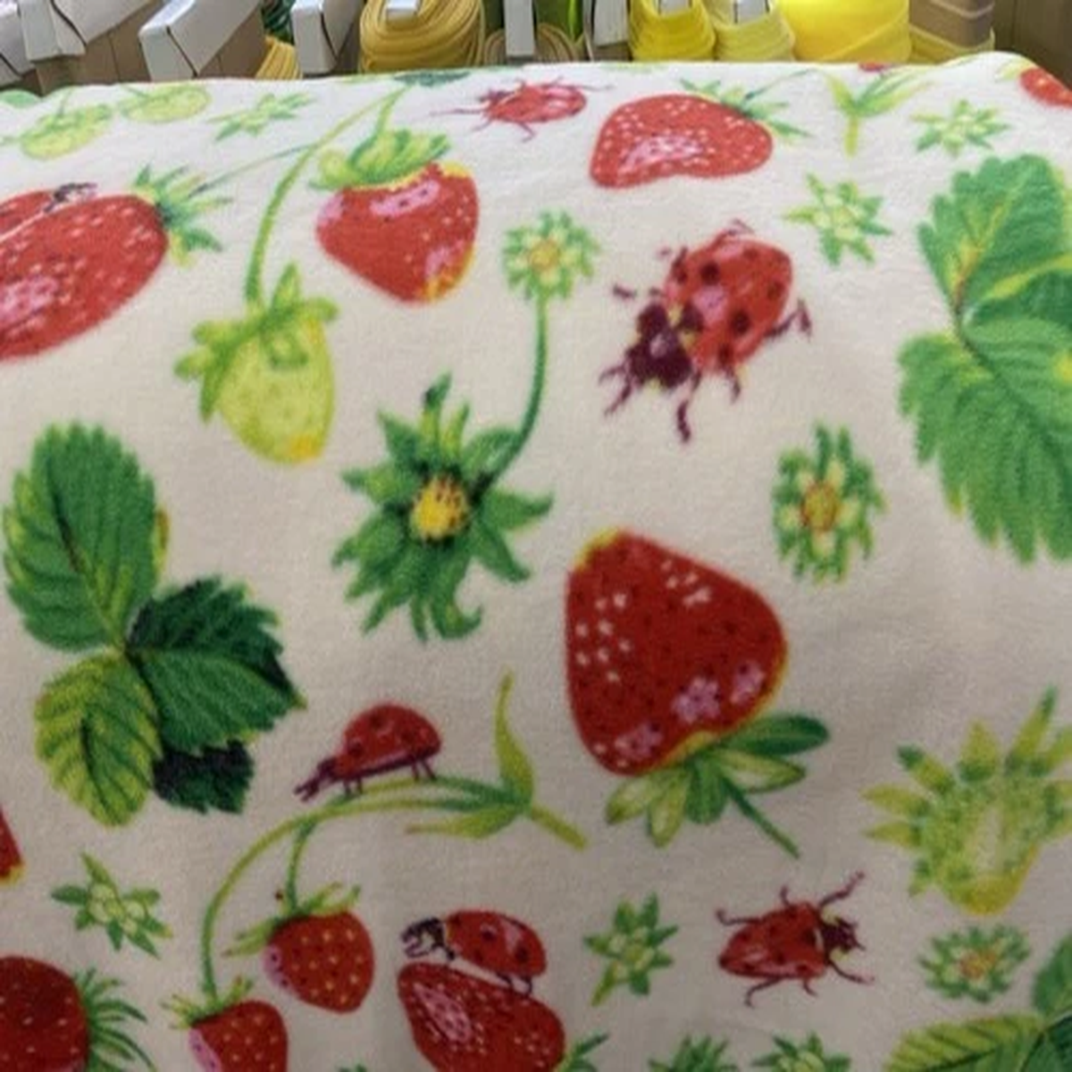 Strawberry Ladybug Plant Fleece Fabric On White, 60 Wide, Sold By The Yard